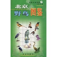 北京野鸟图鉴