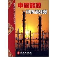 中国能源可持续战略