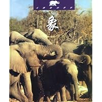 象