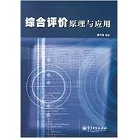 综合评价原理与应用