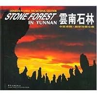 云南石林:中国奇观•国家地质公