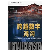 跨越数字鸿沟:面对第二次现代化的危机与挑战