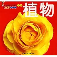 宝宝的第一本必备书：2岁（套装全10册）