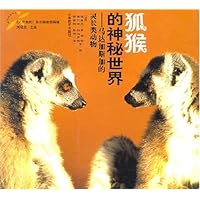 狐猴的神秘世界:马达加斯加的灵长类动物