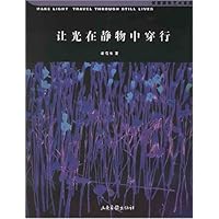 让光在静物中穿行