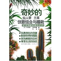 奇妙的仙人掌兰草创意组合与插栽