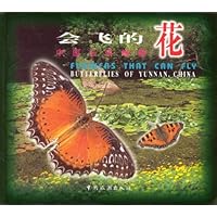中国云南蝴蝶:会飞的花