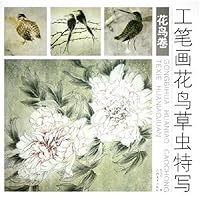 工笔画花鸟草虫特写(花鸟卷)