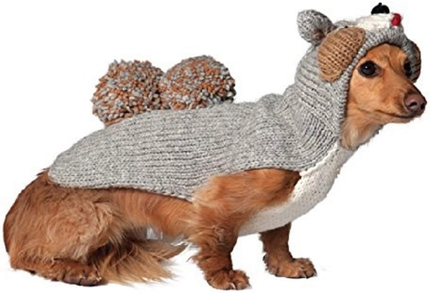 chilly dog 松鼠连帽卫衣 xx-s