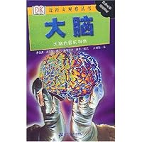 大脑:大脑内部的构造