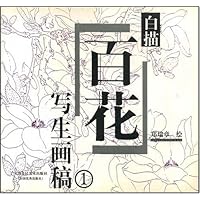 白描百花写生画稿(1)