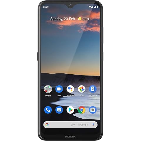 nokia 诺基亚 5.3 智能手机(16.3cm/6.